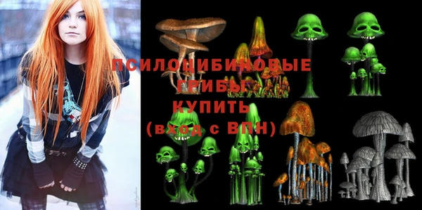 ешки Алзамай