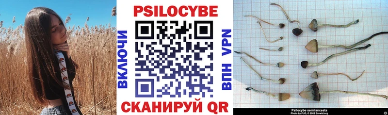 Псилоцибиновые грибы Psilocybine cubensis  закладки  Канск 