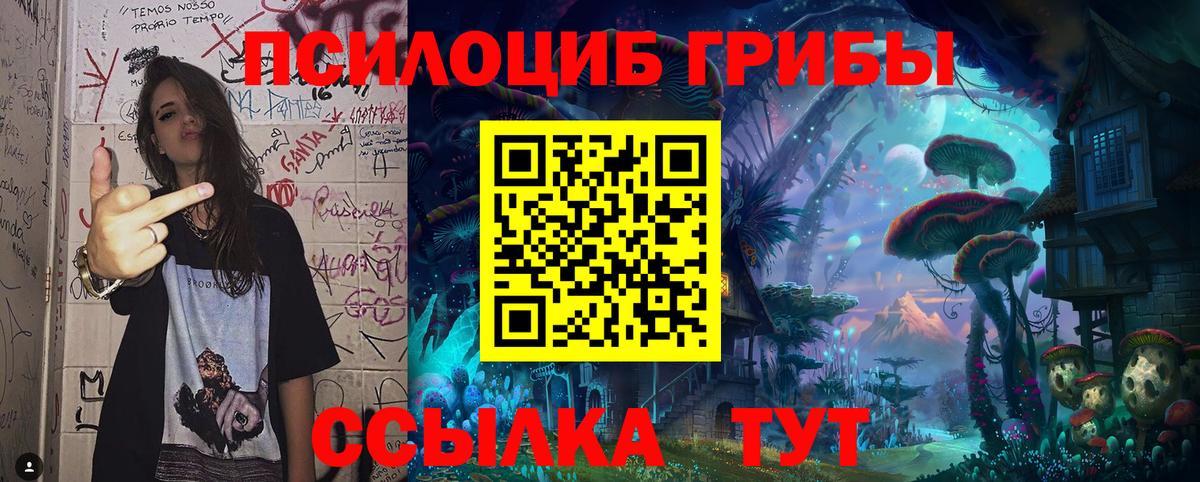 Галлюциногенные грибы прущие грибы Канск